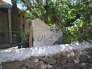 300px-Cyucelimza.JPG
