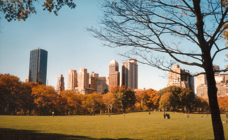 800px-Centralpark.png