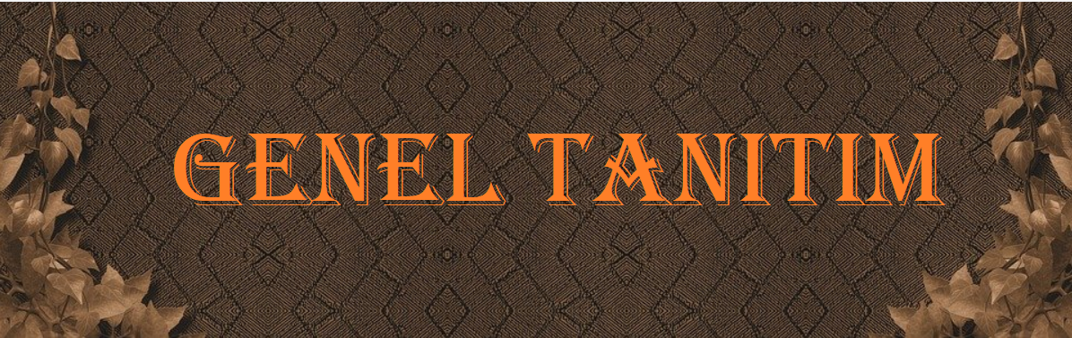 Genel Tanıtım.png