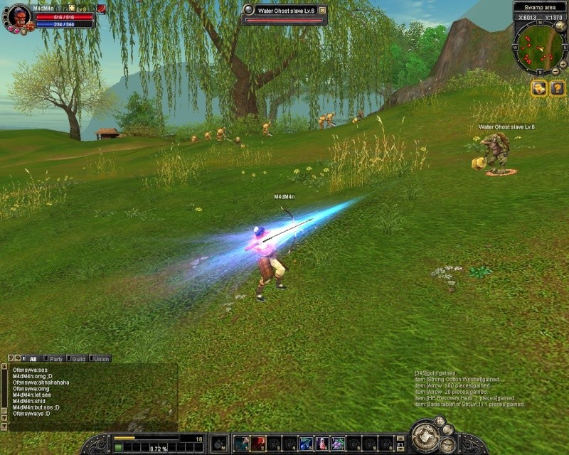 sro20111.jpg