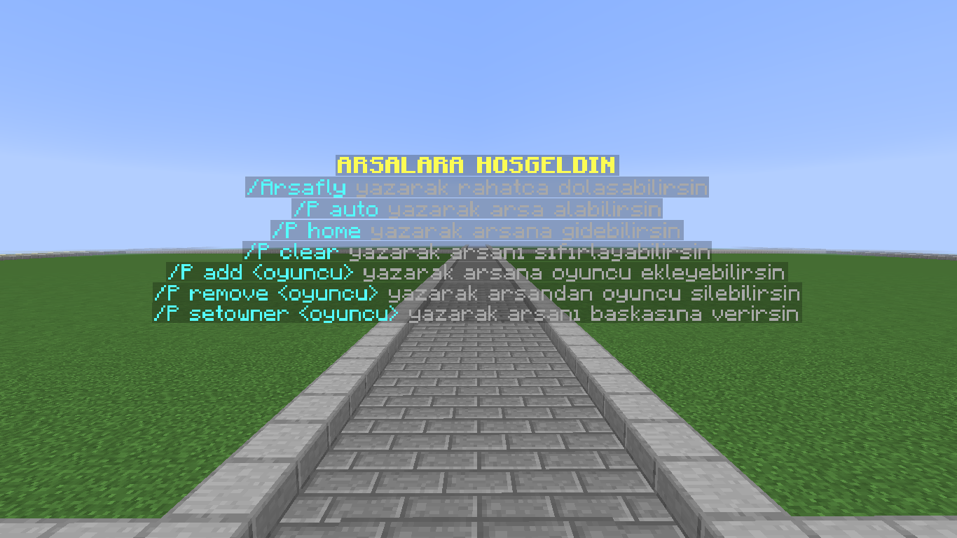 SS11.png