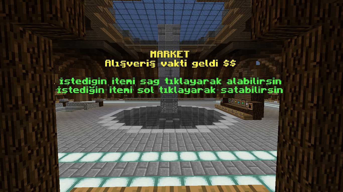 SS6.png