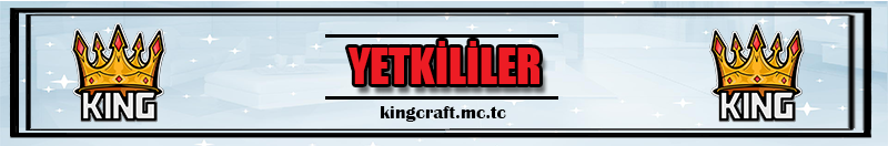 yetkililer başlık.png