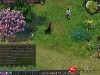 magicworlds22_7A5018B8S7.jpg